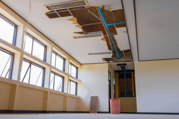 Best Water damage restoration insurance claims  in Soh Ogden, UT