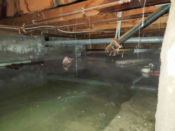 Best Commercial water damage restoration  in Soh Ogden, UT