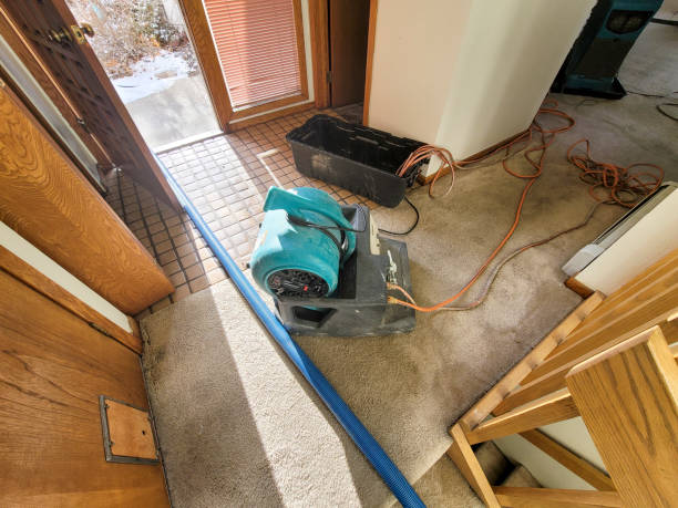 Best Ceiling water damage repair  in Soh Ogden, UT