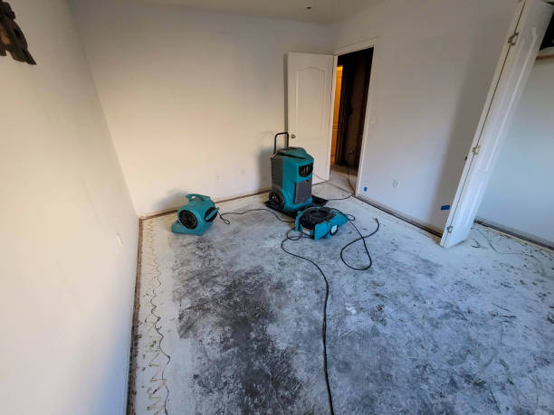 Best Fire Damage Restoration  in Soh Ogden, UT