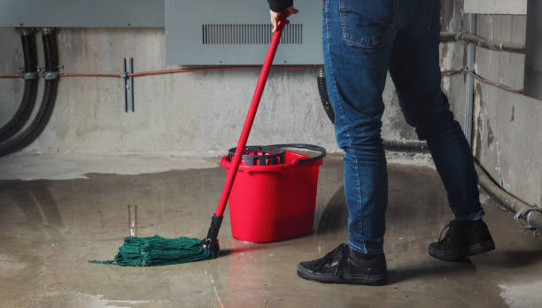 Best Flooded house restoration  in Soh Ogden, UT