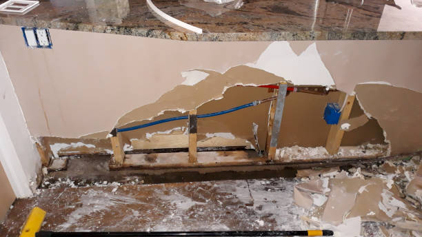 Best Mold removal after water damage  in Soh Ogden, UT