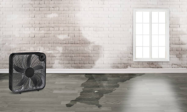 Best Water damage restoration experts  in Soh Ogden, UT
