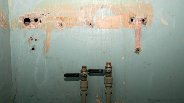 Best Local water damage restoration  in Soh Ogden, UT